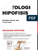 Histologi Hipofisis