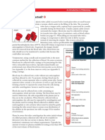 Introduction To Phlebotomy Pages