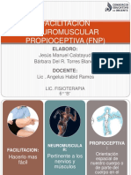 Facilitacionneuromuscularpropioceptivafnp Copia Copia Copia 170406004702