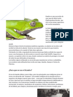 Información Kambo PDF