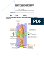 Taller Posicion Anatomica Editable