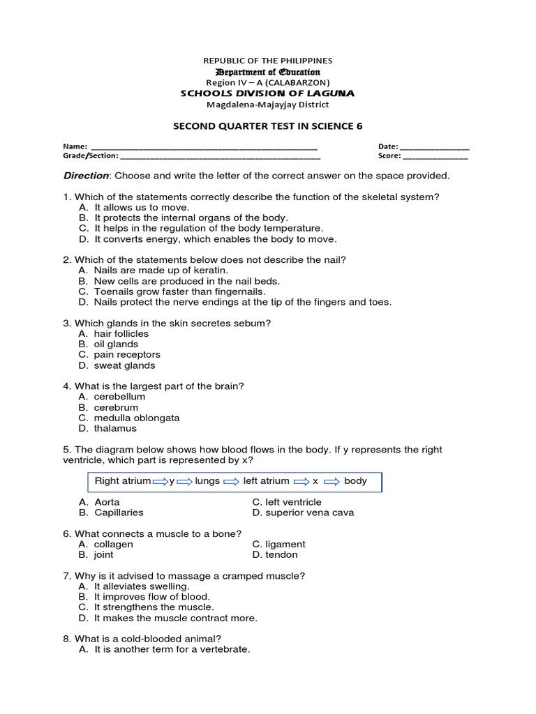 Science 6 Second Quarter Test | PDF | Pinophyta | Plants