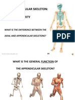 3 (Upper Extremity)