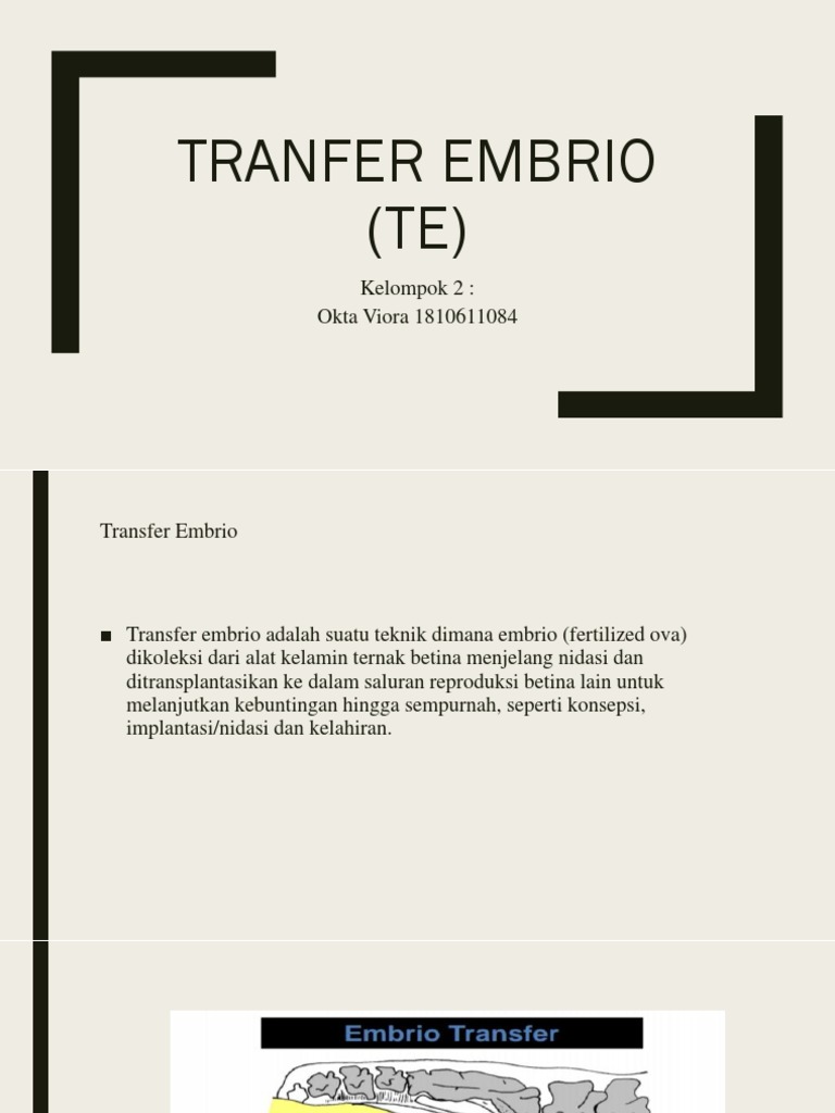 Prosedur Transfer Embrio pada Sapi | PDF