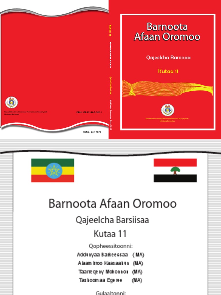 AFAAN OROMOO GRADE 8 TEACHER GUIDE PDF FREE DOWNLOAD 2022 intelligence overview
