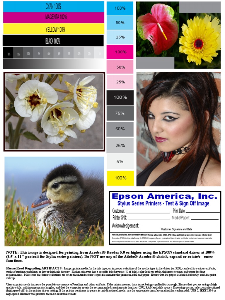 Print Sample 8.5x11 Photo Series Printers PDF | PDF | Printer ...