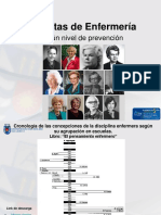 Teoristas de Enfermería Segun Nivel de Prevencion 2015 PDF