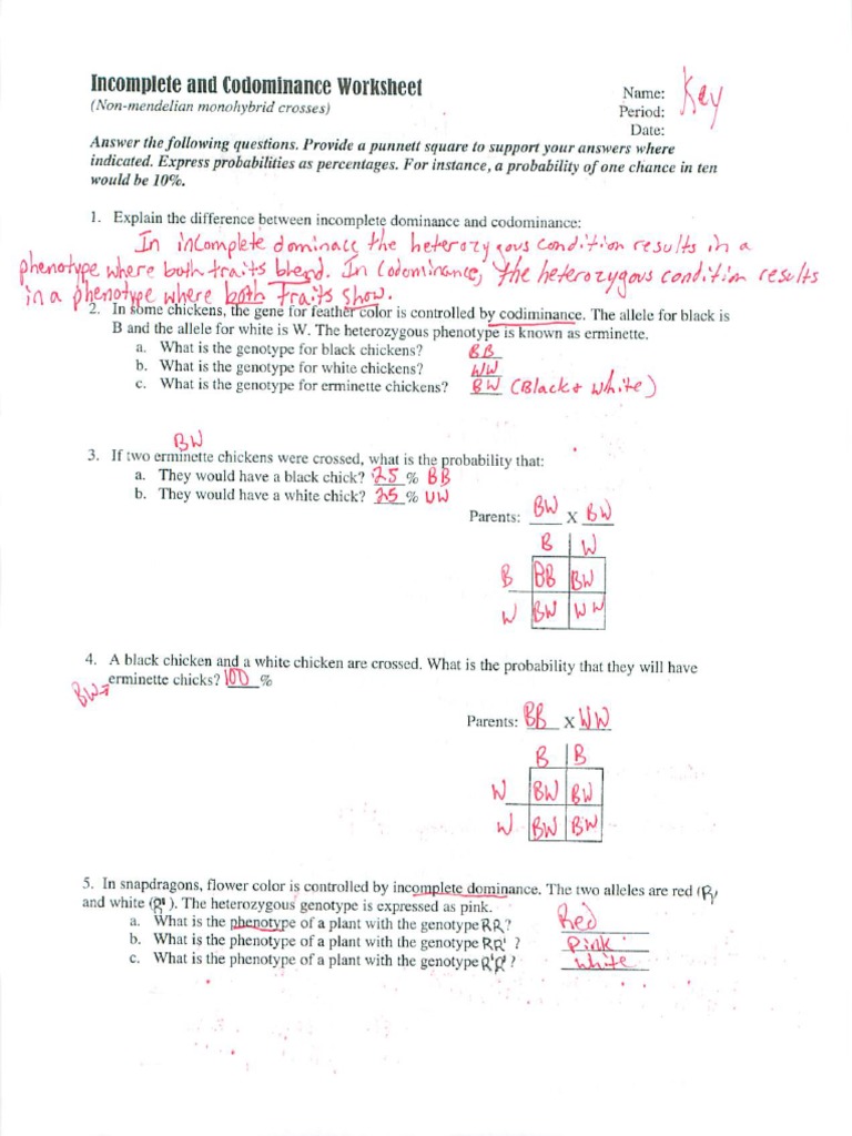 Inc Codominance Key Pdf