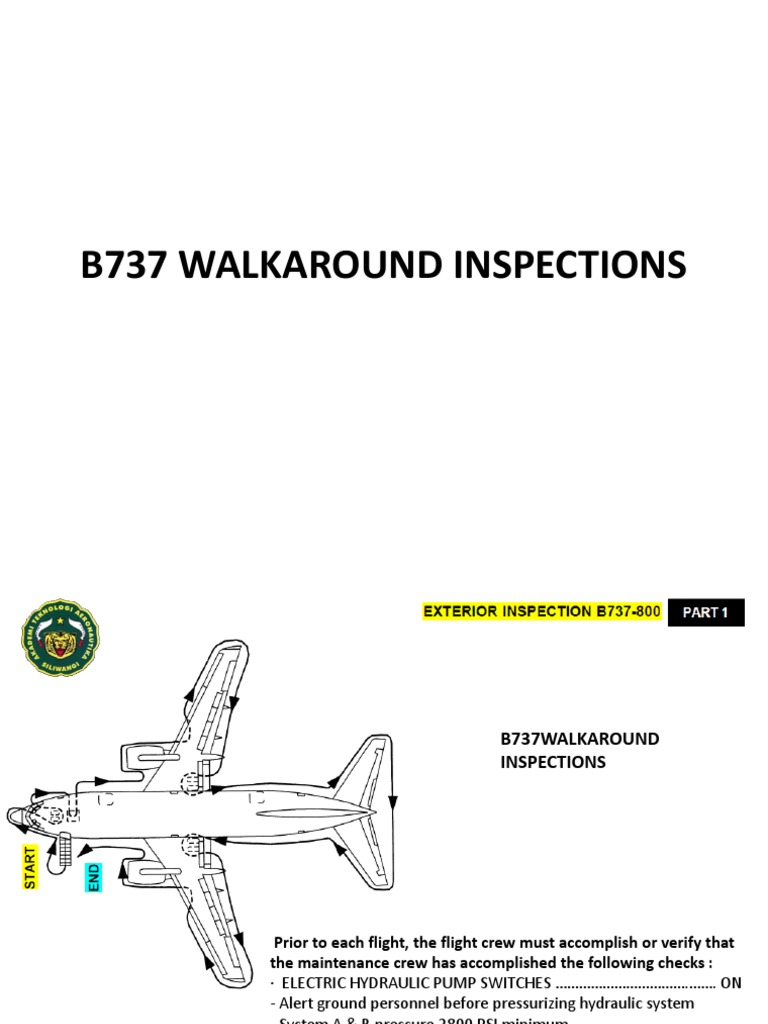 04-B737-800 Walkaround Inspection | PDF