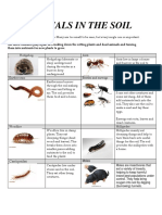 animals in the soil