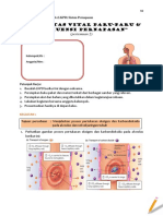 LKPD Sistem Pernapasan