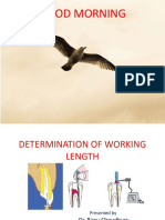 Working Length