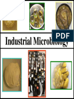 industrial_microbiol.pdf