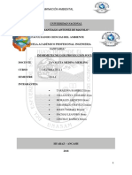 Contaminación Del Medio Ambiente (Huaraz)