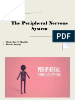 The Peripheral Nervous System