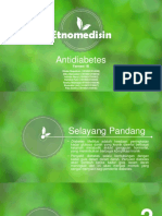 Presentasi - Antidiabetes