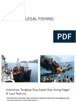 Illegal Fishing