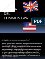 FLIA DEL COMMON LAW.pptx
