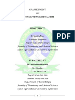 An Assignment On Immune Effector Mechani PDF