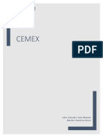 CICLO DE VIDA DE UN PROYECTO CMEX