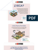 Datos-sobre-los-ECA-1.pdf