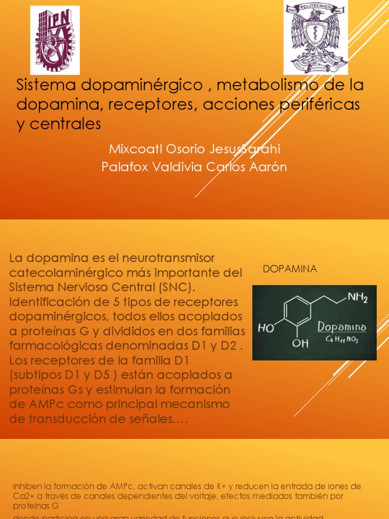 Sistema Dopaminergico, Metabolismo de La Dopamina, Receptores, Acciones ...