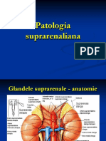 Curs 8-Patologia Suprarenaliana - Dr. Sirbu