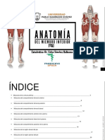 Anatomia Humana I Musculos Miembro Infer