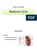 Lapsus Urology - Retensi Urine