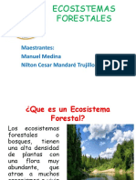 ECOSISTEMAS FORESTALES