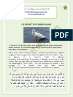 Secret de pigeon.docx
