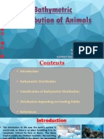 Bathymetric Distribution of Animals
