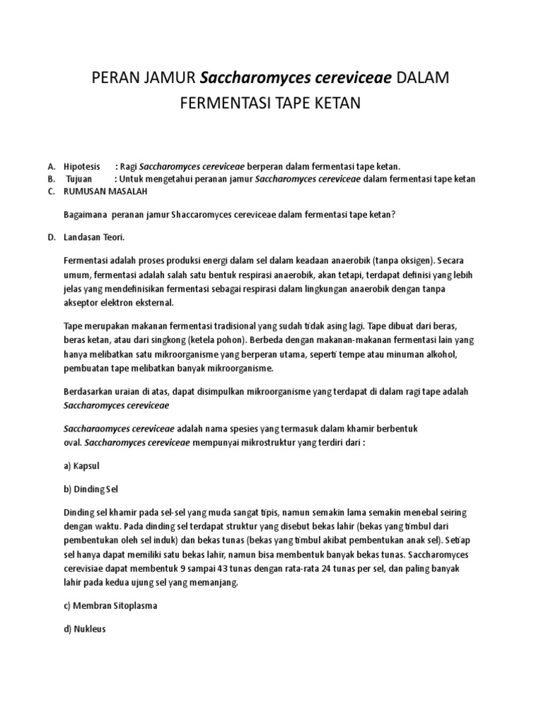 Laporan Pembuatan Tape | PDF