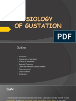 Outline of the Taste System