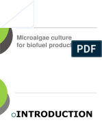 Microalgae - For Biodiesel and Co2 Removal