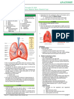 Anatomy Trans13 Lungs