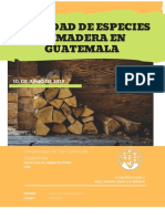 Construccion 2 PDF