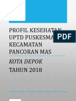 Profil Kesehatan Puskesmas 2018