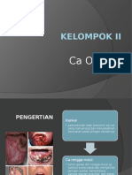 Kelompok II Ca