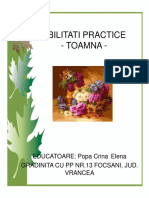 abilitatipractice_toamna.ppt