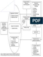 Adapted Conceptual Framework 3