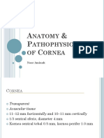 Anatomi Dan Patofisiologi Cornea
