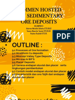 SEDERHANA UNTUK DOKUMEN SEDIMEN HOSTED DAN SEDIMENTARY ORE DEPOSITS