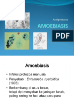 Amobeasis.pdf