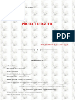 proiect_inspectie_grad_2 (1)