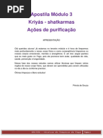 Apostila Módulo 3 perola de souza yoga