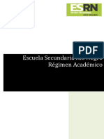 Anexo VIII RES CPE 4617_17 - REGIMEN ACADEMICO.pdf