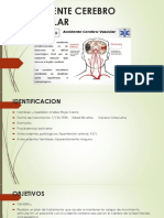 Accidente Cerebro Vascular