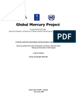 GMP Final-Report 2007