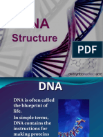 DNA-Structure.ppt